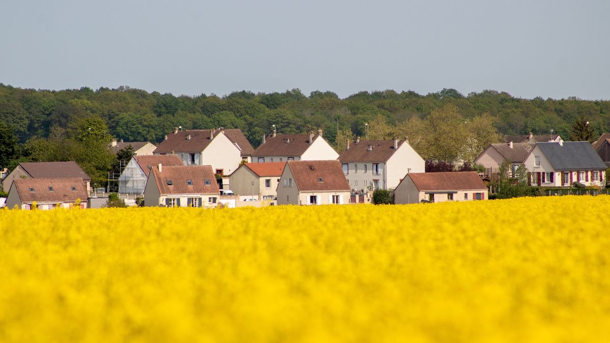 Čechům bydlení na vesnici vyhovuje, do velkoměst se příliš nehrnou